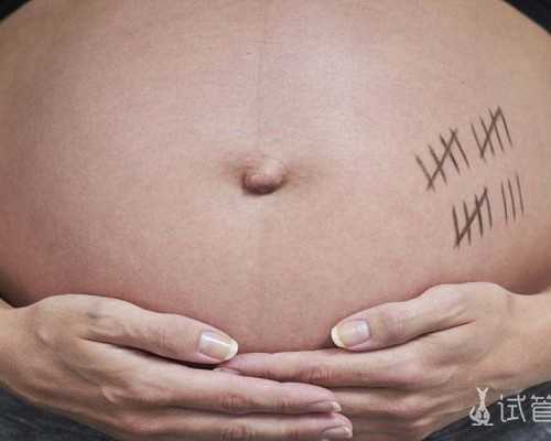 详细解读：新加坡三代试管多少钱啊？