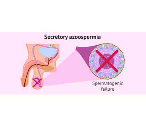 泰国试管囊胚等级高，成功率越大吗？