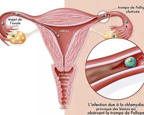 包生男孩医院，泰国试管婴儿取卵的过程