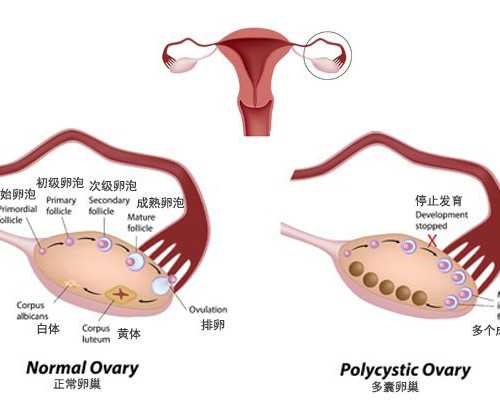 有供卵中心吗_正规的供卵机构,【什么人适合做供卵?37岁供卵试管婴儿成功率