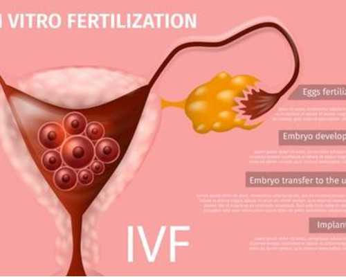 代生供卵医院，2022年赴泰国做hiv试管洗精术的价格大概是多少？