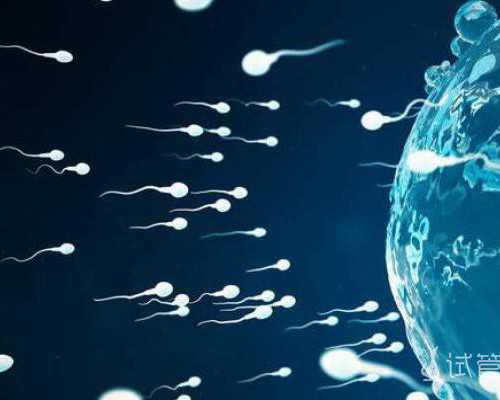 <strong>成都西囡医院试管费用分享？成都西囡医院试管成功率？</strong>